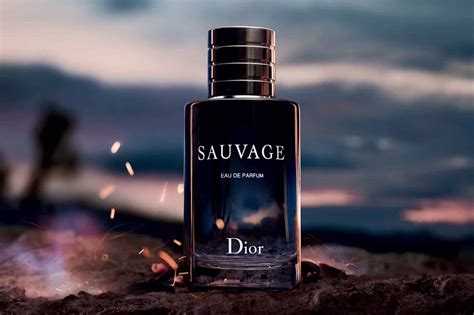 ambroxide dior sauvage ingredients|sauvage dior fragrance.